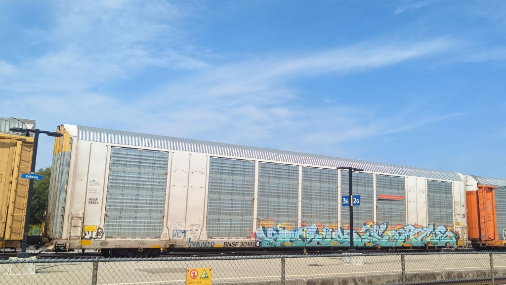 BNSF 29986 (Body) BNSF 301886 (Flat)